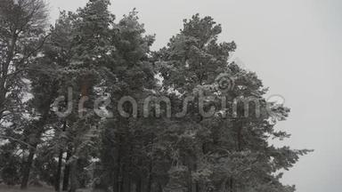 在圣诞公园里，<strong>下雪</strong>了。 美丽的冬季景观。 冬季森林。 冬天森林里<strong>下雪</strong>