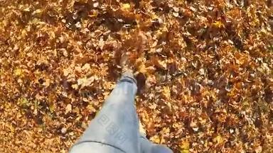 在阳光明媚的秋日，走在地上的人倒了黄、枯叶