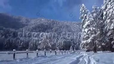 乘车穿越白雪覆盖的森林，4k