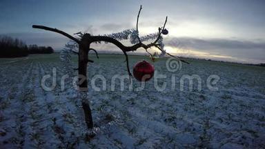 新年<strong>时节</strong>，冬天的早晨在田野上装饰圣诞节
