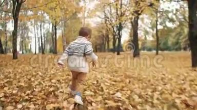 快乐，有趣，可爱的小男孩跑过落叶，穿过公园里令人惊叹的秋巷，慢悠悠的