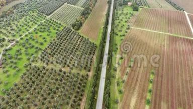 空中射击，一条两棵柏树之间的道路，在意大利托斯卡纳的耕地中间，用无人驾驶飞机射击