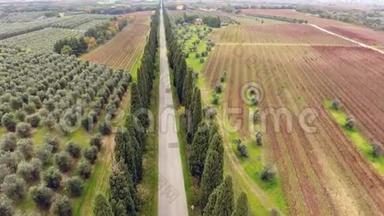空中射击，一条两棵柏树之间的道路，在意大利托斯卡纳的耕地中间，用无人驾驶飞机射击