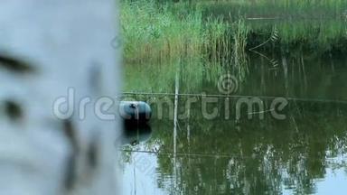 渔夫乘一艘充气船在河上漂浮。 摄像机从桦树上看出来。 野外活动
