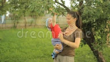 小男孩和她年轻的妈妈一起玩苹果树