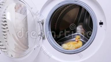 空旷的洗衣机里，一只黄色的小可爱小鸭子坐着.. 他想跳出来