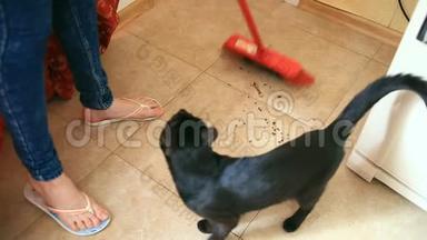 一个女人用刷子和铲子在厨房、餐厅扫地。 黑猫看着女人