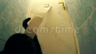 活跃猫玩卫生纸，并在厕所展开它。