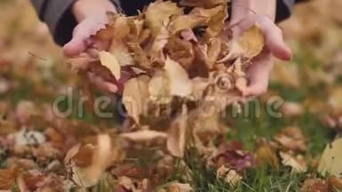 一个年轻女子手的慢动作，她挽着一臂树叶，尽情地享受秋天的宜人天气