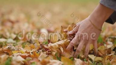 一个年轻女子手的慢动作，她挽着一臂树叶，尽情地享受秋天的宜人天气