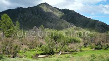 美丽的风景，有山树和牲畜<strong>在田野上</strong>觅食。 3840x2160