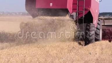 割下来的稻草从联合收割机下面飞出.. 收割粮食的开始.. 新的视频新闻来自田野。