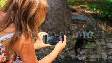 近景背面金发女孩在公园照猴子