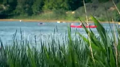 双人独木舟皮划艇通过芦苇在野生河流上进行赛车运动。
