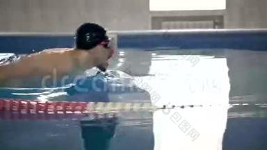 男游泳运动员在游泳池里游泳，蝶泳。 男子游泳