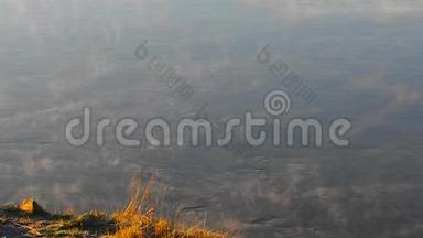 清晨的薄雾笼罩着河水。 清晨的雾河.. 晨湖上的景观雾。 从雾蒙蒙的码头俯瞰全景
