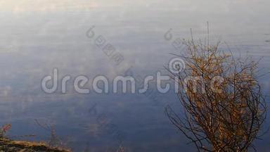 清晨的薄雾笼罩着河水。 清晨的雾河.. 晨湖上的景观雾。 从雾蒙蒙的码头俯瞰全景