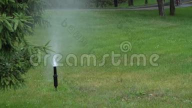 花园灌溉。 植物和草坪自动喷水浇水系统。