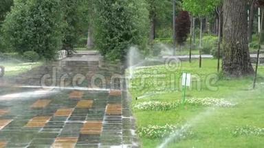 花园灌溉。 植物和草坪自动喷水浇水系统。