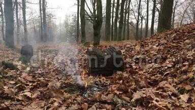 视频火灾烟雾在秋天森林燃烧的叶子