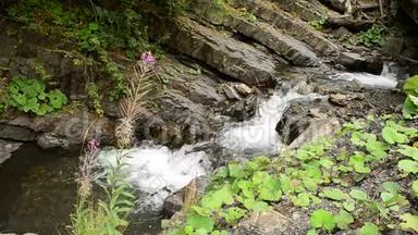 美丽的山河，有绿色的植被和<strong>紫色</strong>的<strong>花朵</strong>