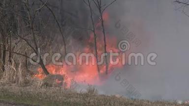 森林火灾的危险-烟雾和火灾