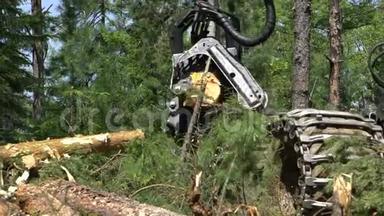 机械手臂在森林中砍断一棵刚砍下的树干