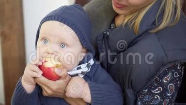 宝宝在妈妈手里吃苹果
