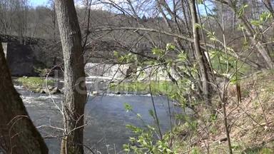 初春绿叶上嫩枝和瀑布流水.. 4K
