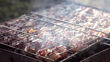 烧烤，火上肉，大自然，烤架上的牛排特写.. 烤串上的烤肉串烧在烟卷上。 食物