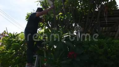 泰国男子在泰国Nonthaburi的家门口的花园里园艺和剪枝