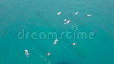 人们在绿松石海水中游泳鸟瞰。 在蓝色海水中洗澡的人的俯视图。 飞行中的景观