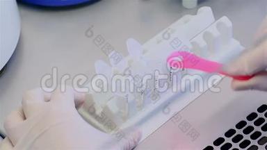 用微管在BSC中进行PCR。