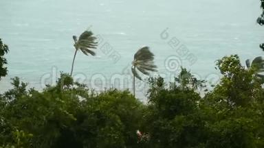 自然灾害飓风期间的海滨景观。 强烈的旋风<strong>吹拂</strong>椰子树。 热带风暴
