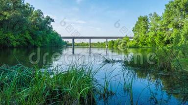 这条河在桥下流着一个阳光明媚的夏日自然旅游时光