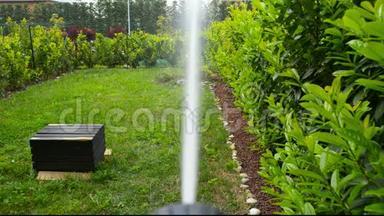 用洒水车浇灌郁郁葱葱的绿色家园花园。