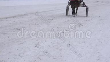 冬季在雪地跑道上比赛时，骑手坐在轮车上与赛马的马腿赛跑。4公里