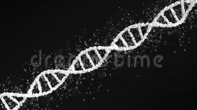 带粒子的白色DNA分子球模型，无缝环