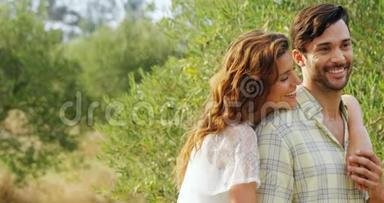 浪漫的情侣在橄榄农场互相拥抱