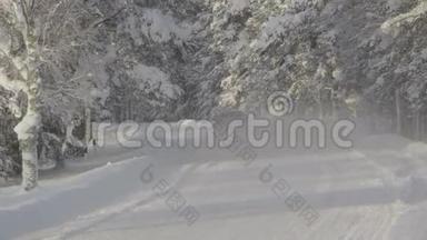 厚厚的雪覆盖着街道和汽车
