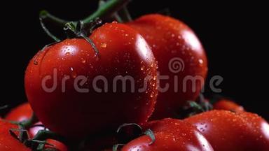 新鲜洗过的西红柿表面是黑色的背景。 一滴水的近距离流动在