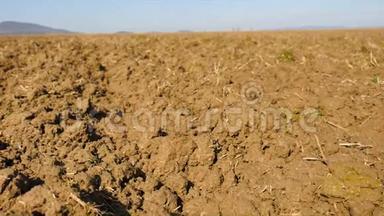 镜头越过犁地麦田。 春田，<strong>湿润</strong>的棕壤，充满腐殖质，腐烂的植物茎