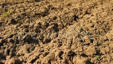 镜头越过犁地麦田。 春天的田野，<strong>湿润</strong>的棕壤，充满腐殖质，老朽的麦秆