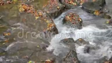 秋天。 流经德国巴伐利亚州MaisingerSchlucht峡谷的小河。 榉林周围..
