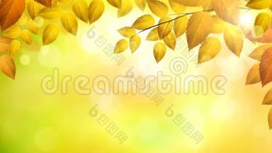 <strong>阳光</strong>明媚的季节背景与自然枝条，橙色的叶子在秋天的森林与<strong>阳光</strong>。