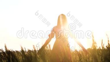 慢动作录像。 美丽的女孩在田野里旋转，手在夕阳的阳光下的手剪影。 妇女生活方式