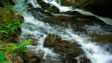 山间河流，湍急瀑布，溪流流过茂密的绿色森林。密林中的溪流