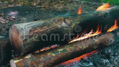 一种笼罩着火焰的燃烧的大原木的景象。 自然、旅游和生存的篝火