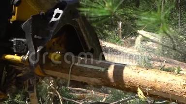 机械手臂在森林中砍断一棵刚砍下的树干