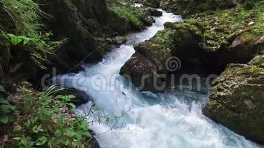 4K. 野河流淌在阿尔卑斯山脉，洁净的碧水和绿林之中.. 特里格拉夫国家公园，朱利安阿尔卑斯山，博欣吉山谷。